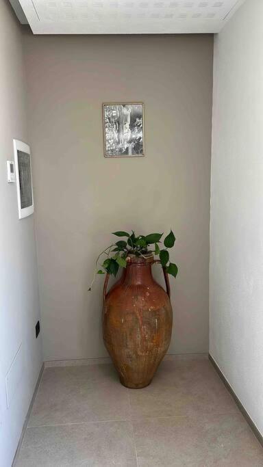 Bed and Breakfast Matarrese 1950 Castellana Grotte Exterior foto